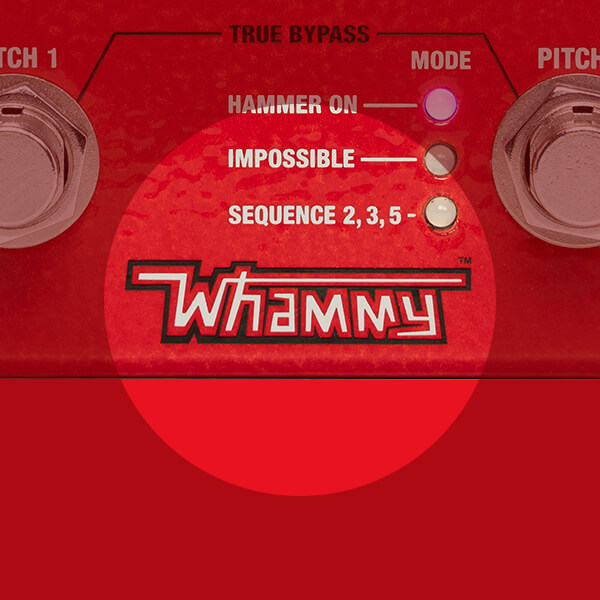 N_digi-HammerOn-card-Whammy-card